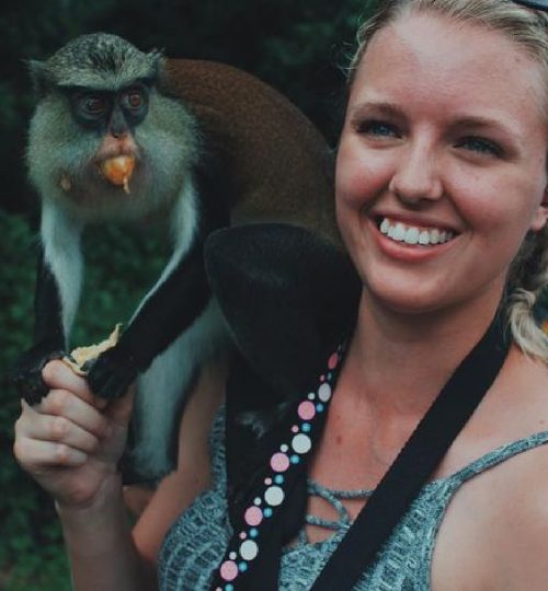 Artboard 43 copy 7@2x-100